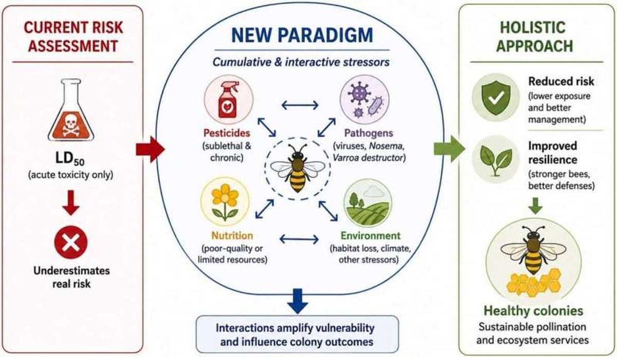 The value of bees as a sentinel species to monitor environmental health: A one health perspective on pesticides, ecosystems and human well-being | newswise