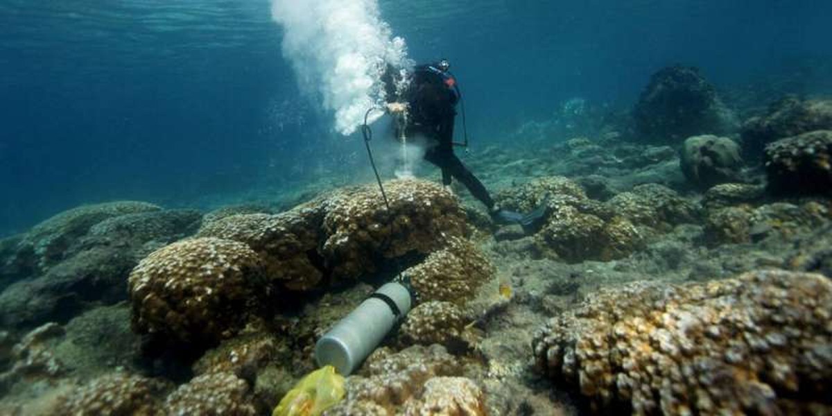 Galápagos corals show El Niño events are more extreme now than in past 1,000 years