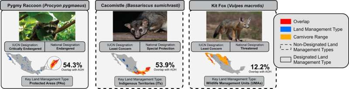 Diverse portfolio of protected areas key to Mexican conservation efforts