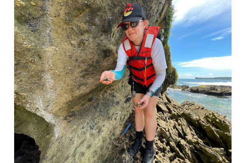 Paleobiologist Erin Dillon collecting fossils on a rock outcrop in Bocas del Toro, Panama, containing fossils revealing the history of the Caribbean in that region. Credit: Jorge Alemán Two oceans, One Country and Twenty Times the Sharks