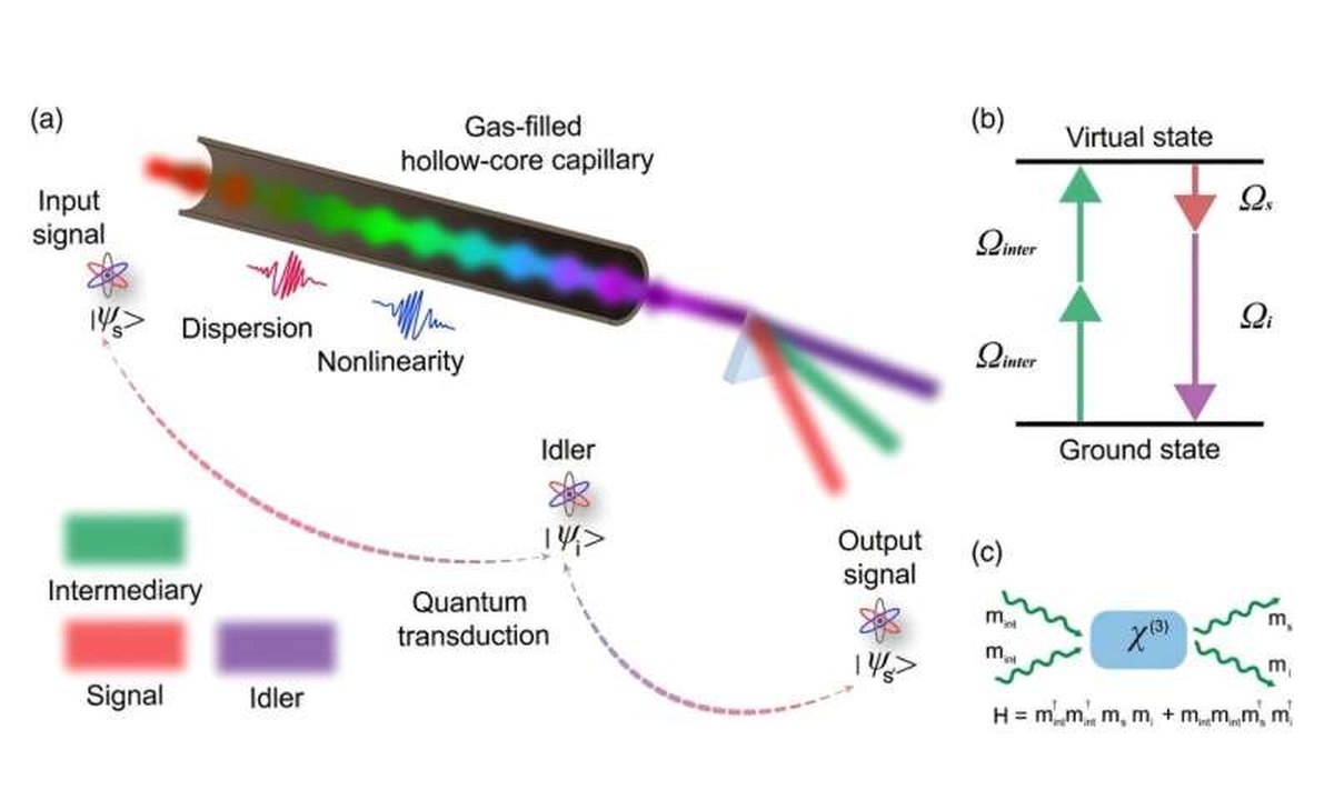 The gas-filled hollow-core waveguide enables efficient four-wave mixing by guiding light through a gas-filled core, allowing an intermediary laser to convert light to a new frequency while preserving the spectral phase required for coherent quantum information transfer. Credit: H. Zhang et al. A translator for quantum light