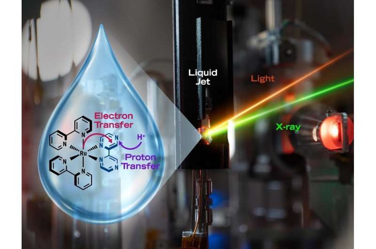 Scientists capture first molecular-level images of water reorganization during a reaction crucial for life