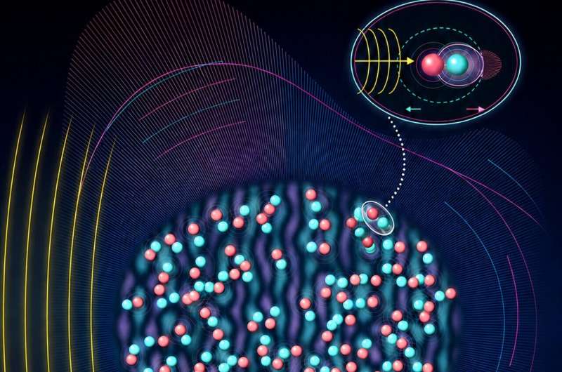 The directionality and symmetry of scattering vary according to the statistical correlations between refractive properties and absorption/amplification properties. Credit: Seoul National University College of Engineering Designing the direction of light through 'hidden order' in disorder: SNU–University of Seoul team proposes new optical theory
