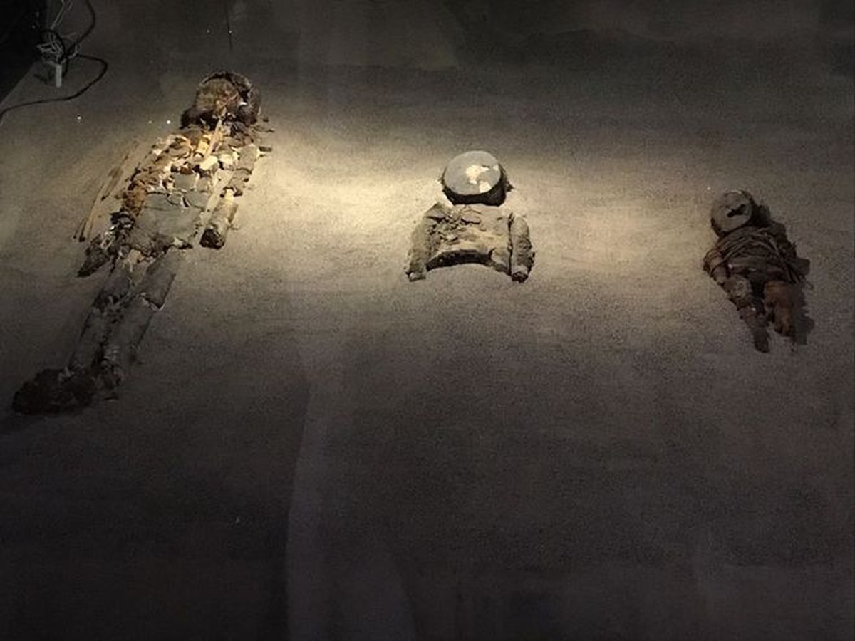 mummies in a museum