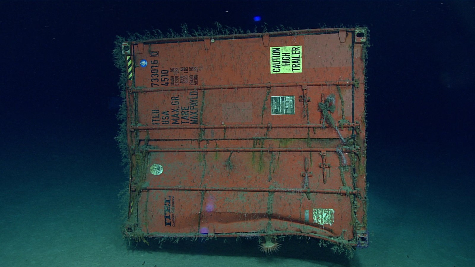 Deep Sea Scientists Accidentally Stumbled Across The Ocean's Own Backrooms