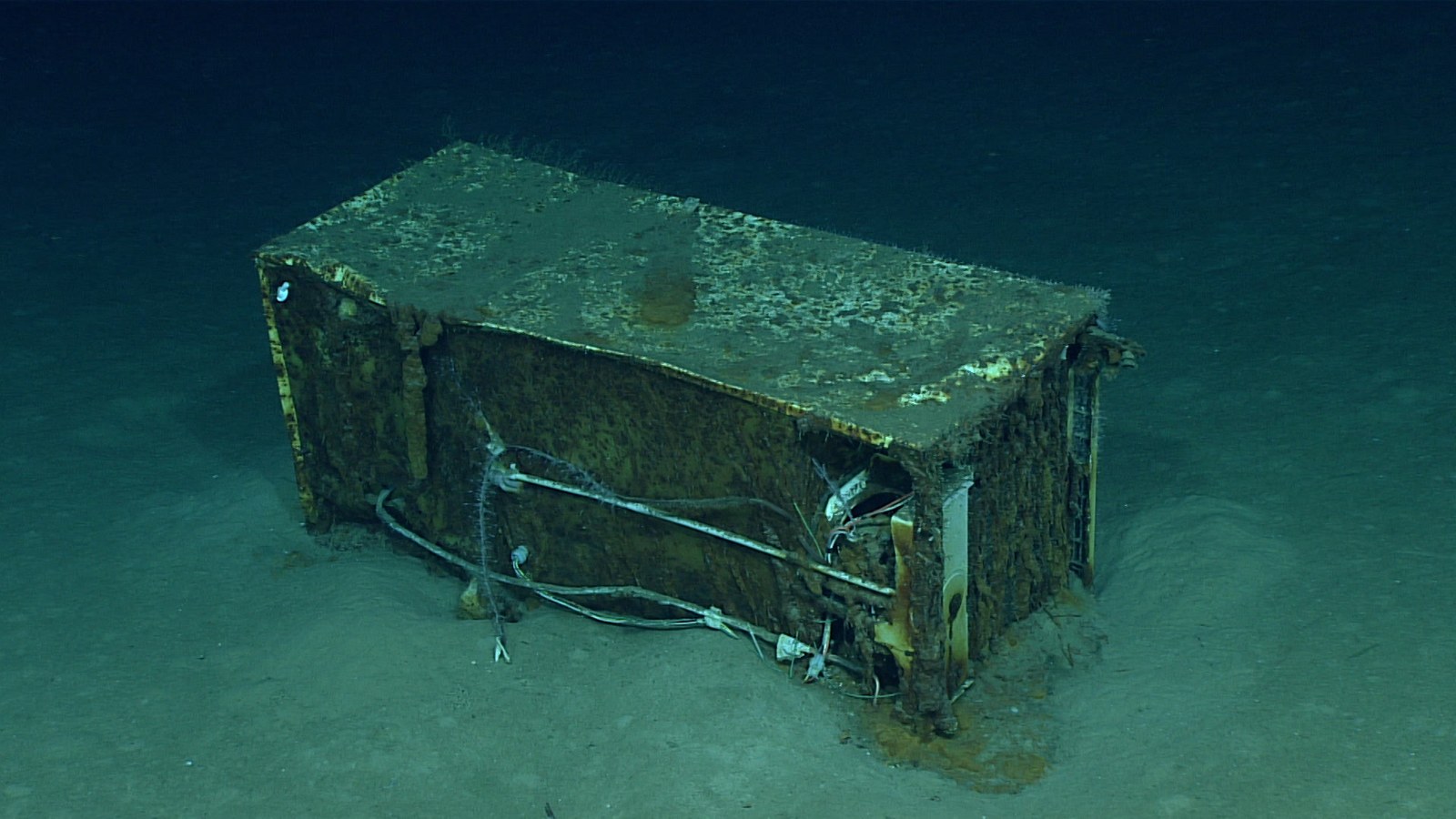Deep Sea Scientists Accidentally Stumbled Across The Ocean's Own Backrooms