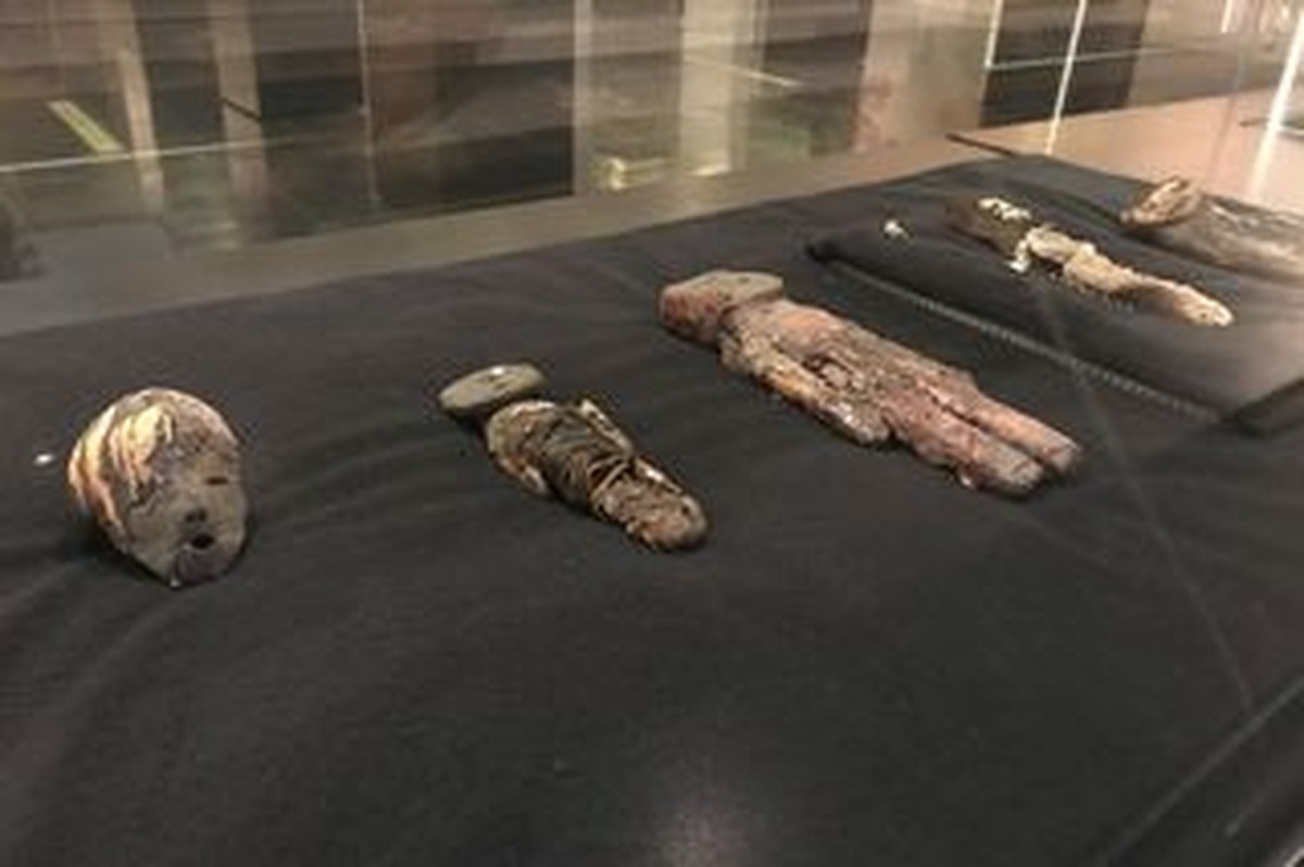 Mummified remains in a museum