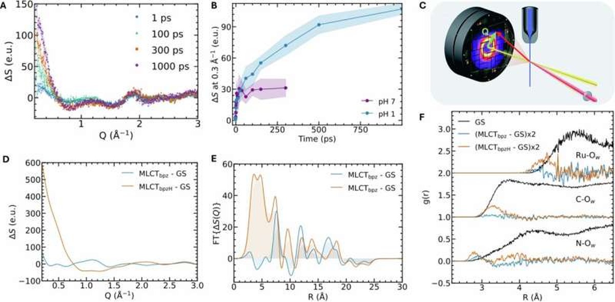 Scientists capture first molecular-level images of water reorganization during a reaction crucial for life