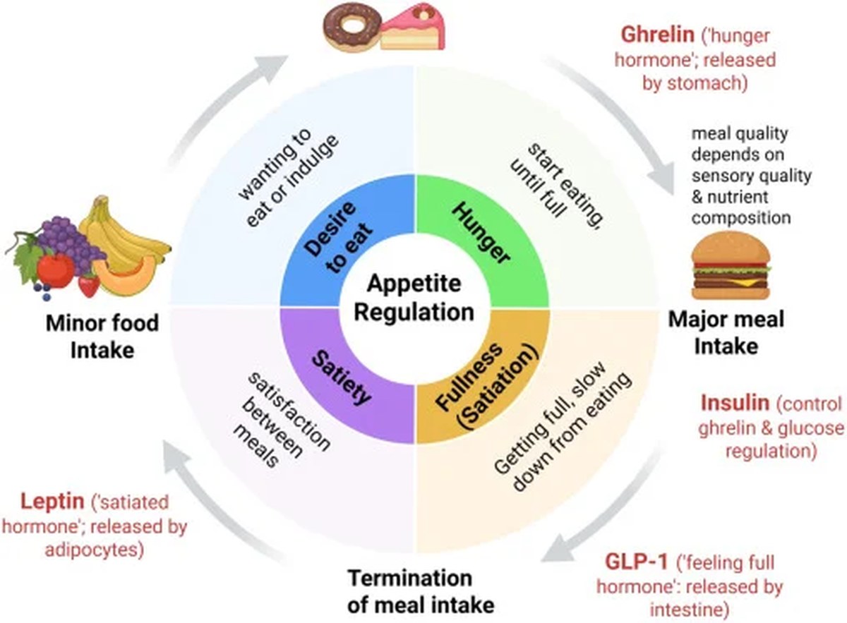 Hiding Spinach in White Bread Has an Exciting Effect on Insulin