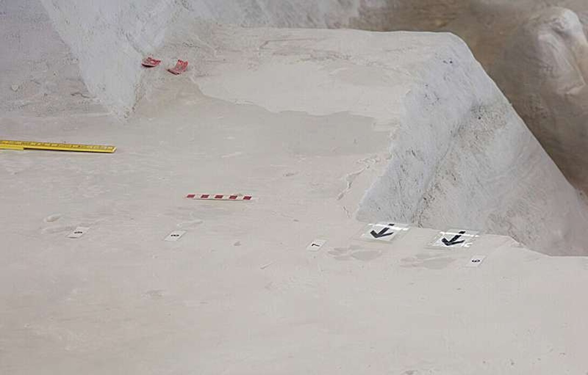 Husker researchers continue to uncover prehistoric discoveries at Ashfall