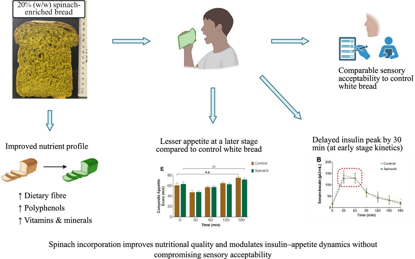 Hiding Spinach in White Bread Has an Exciting Effect on Insulin