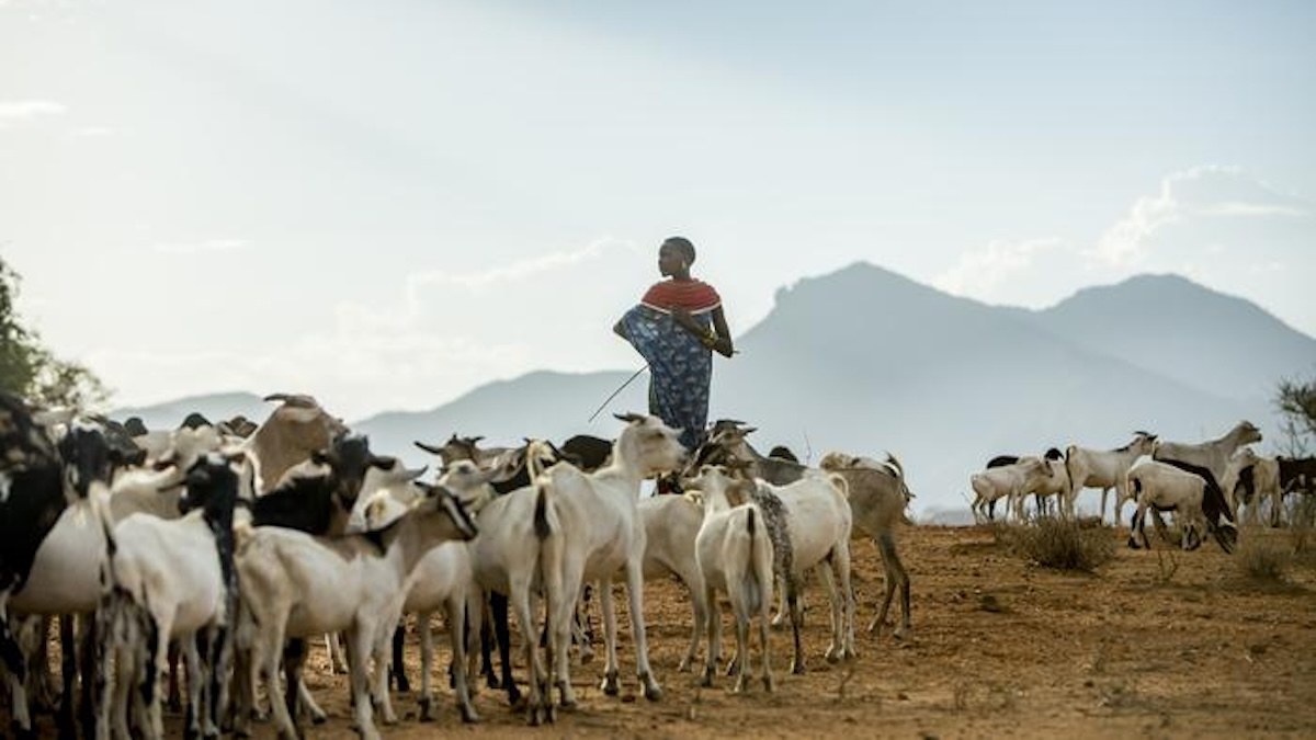 Improved Climate Forecasts Alone Won’t Protect Africa’s Poorest Farmers