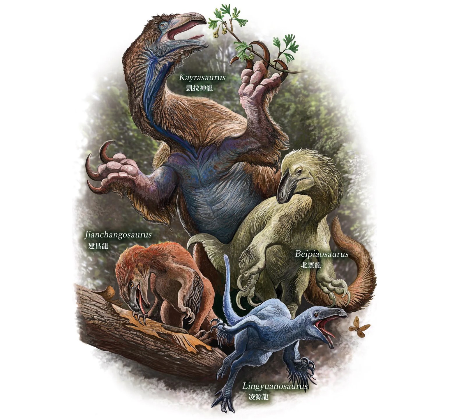 Illustration showing different kinds of therizinosaurs with labels.