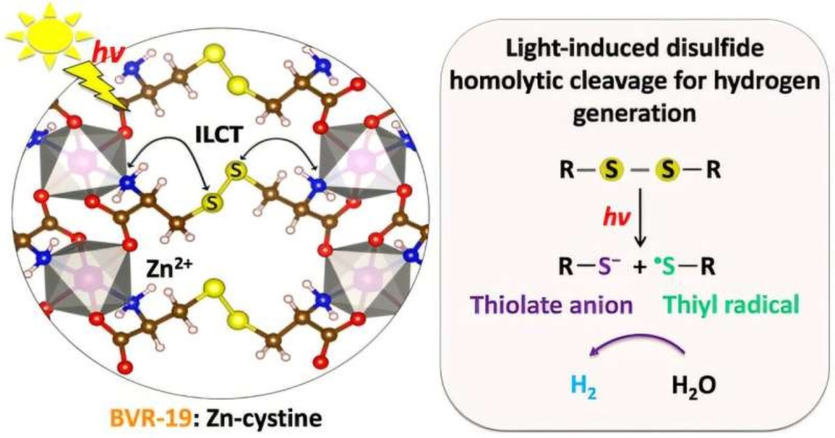 Visual abstract. Credit: Journal of the American Chemical Society (2026). DOI: 10.1021/jacs.6c13238 New possibilities uncovered for efficiently converting sunlight into clean energy