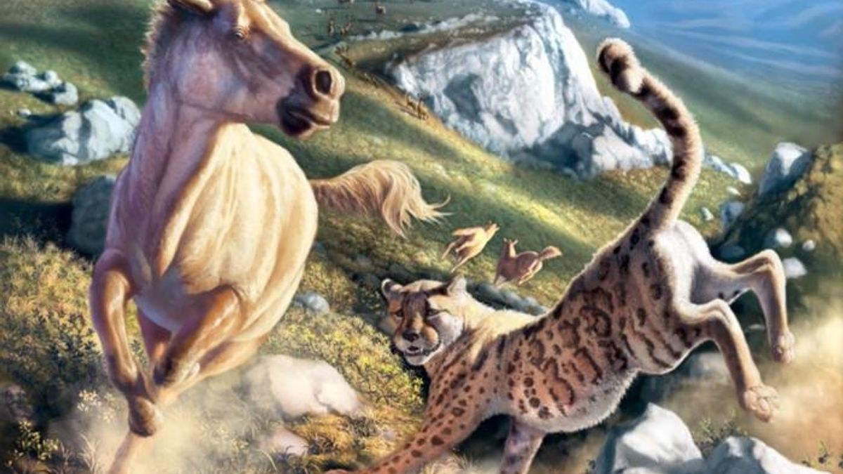30,000-Year-Old Fossils Reveal the “American Cheetah” Was Actually More Like a Puma