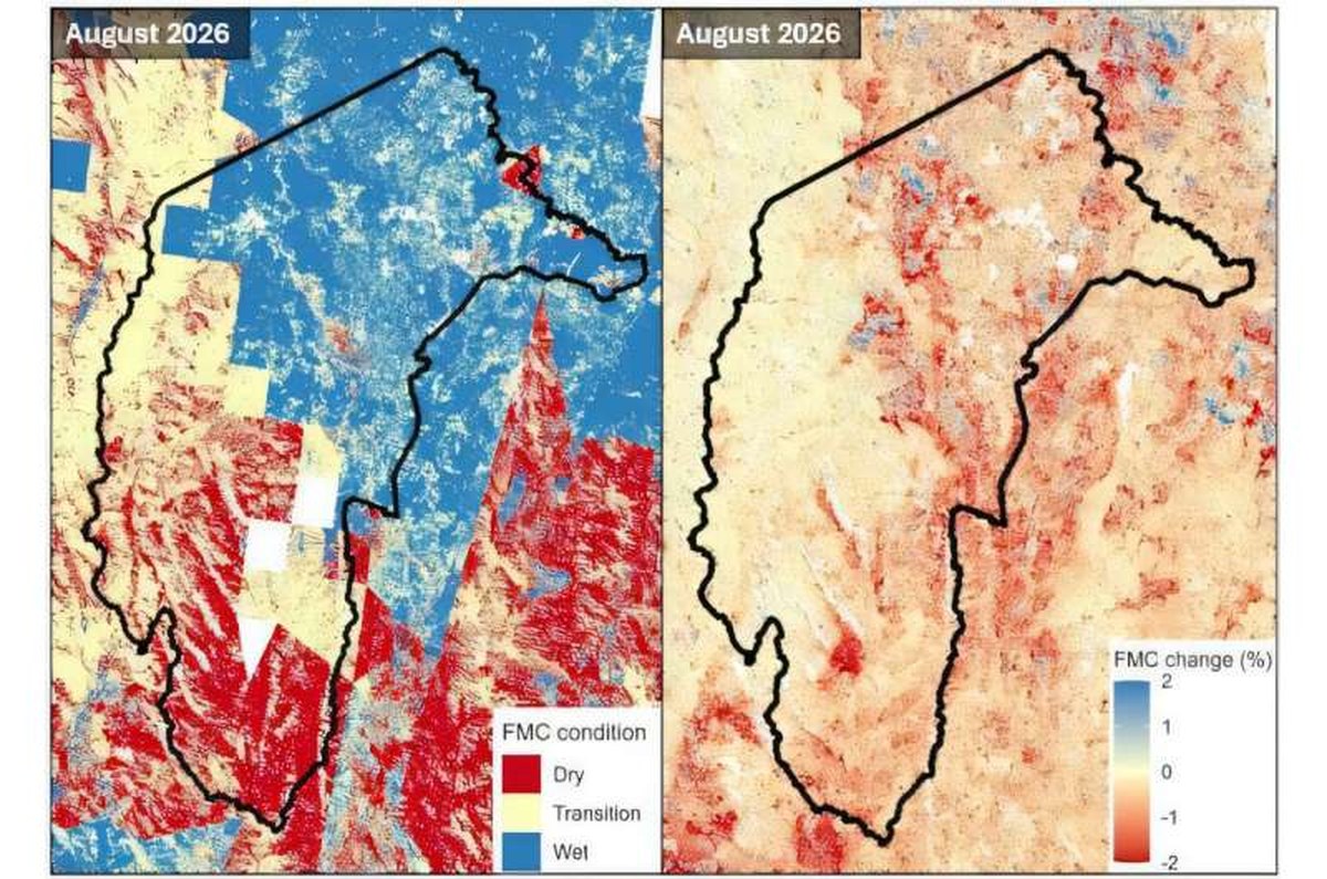 Vegetation-specific fuel moisture content condition classes (left) show where fuels were classified as wet, transitional or dry in August 2026. The daily rate of fuel moisture content change between July and August (right) shows the trajectory of these conditions: negative values indicate drying, positive values indicate increasing moisture, and larger values indicate faster change. Credit: Digital Earth Australia Bushfire season is fast approaching. A new satellite tool can help communities better prepare