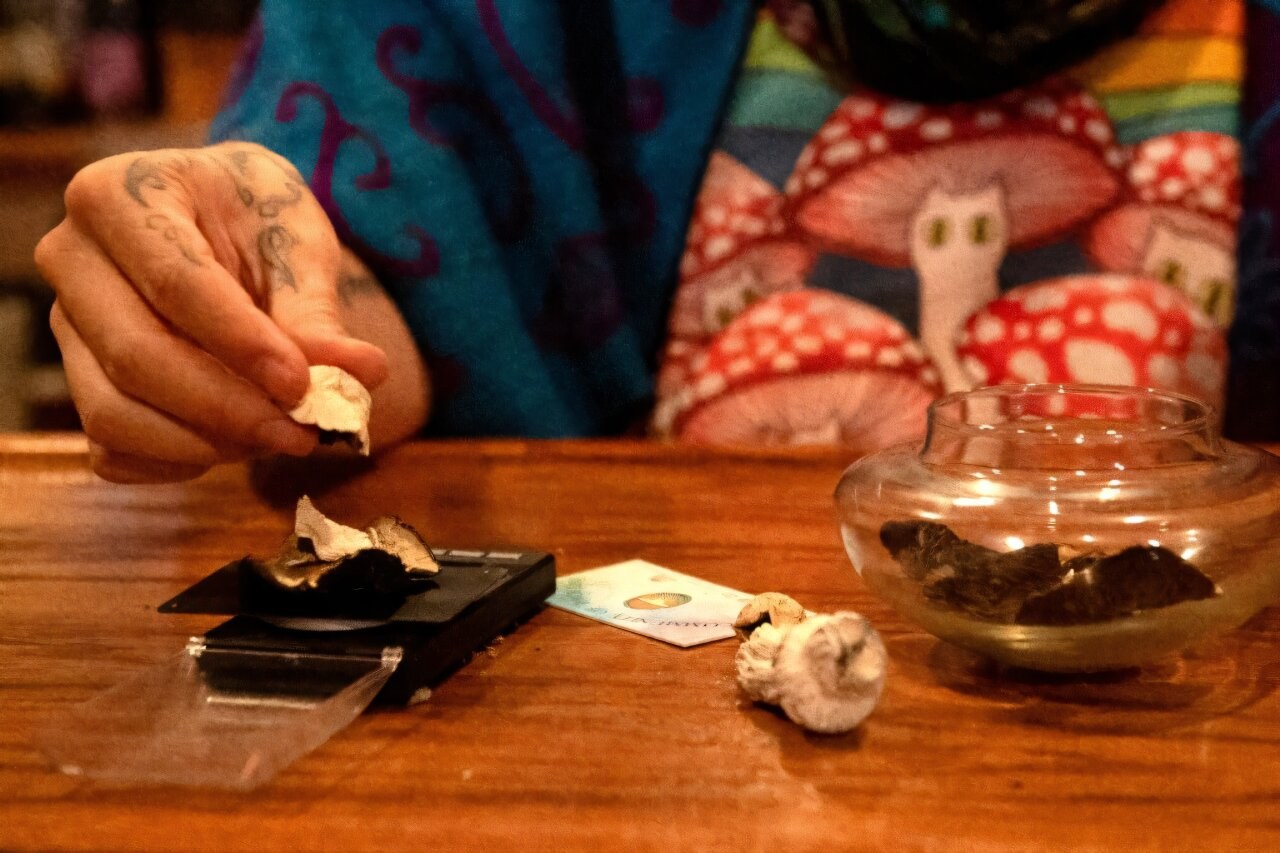 US study tests psilocybin to fight cancer side effects