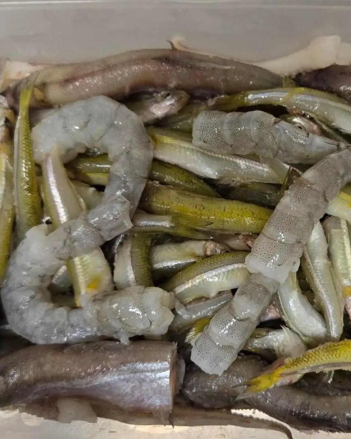 shrimp and fish