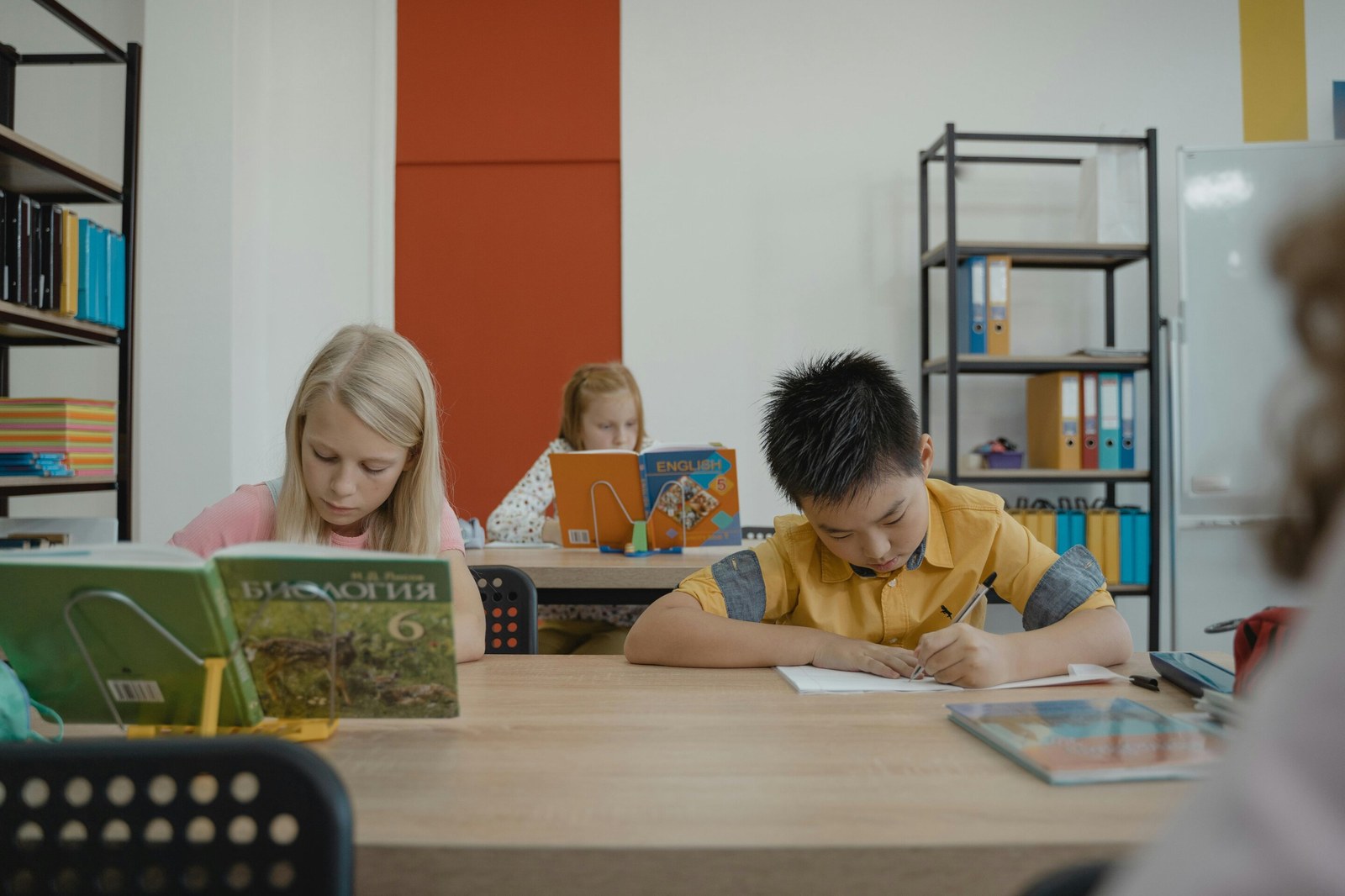 Why do politicians often want to change the school curriculum?