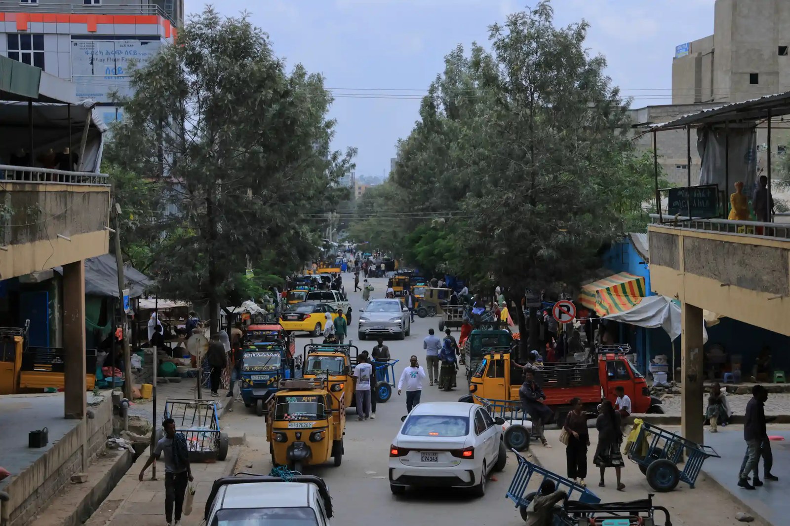 Two large trees flank a road with cars and people.