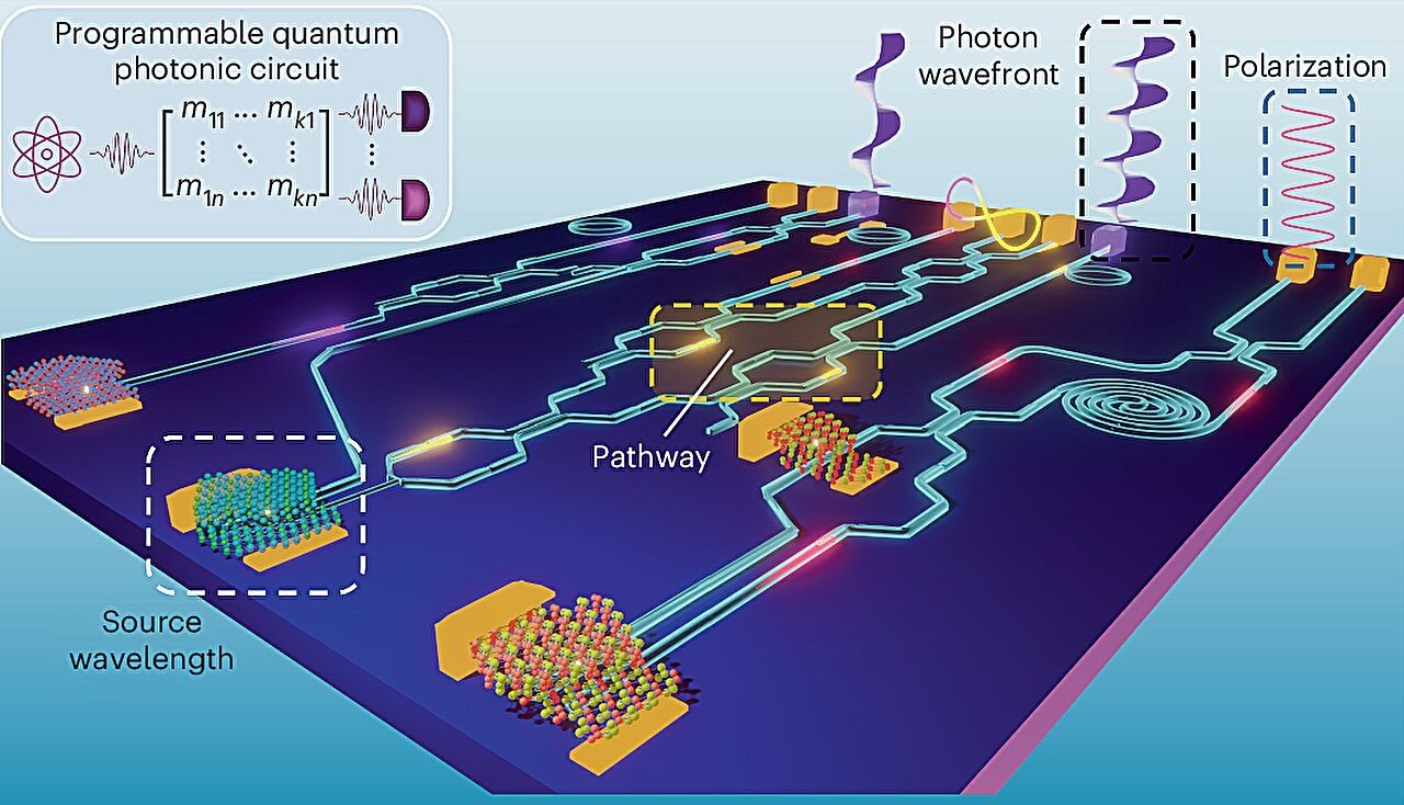 Ultrathin materials could make quantum light circuits programmable