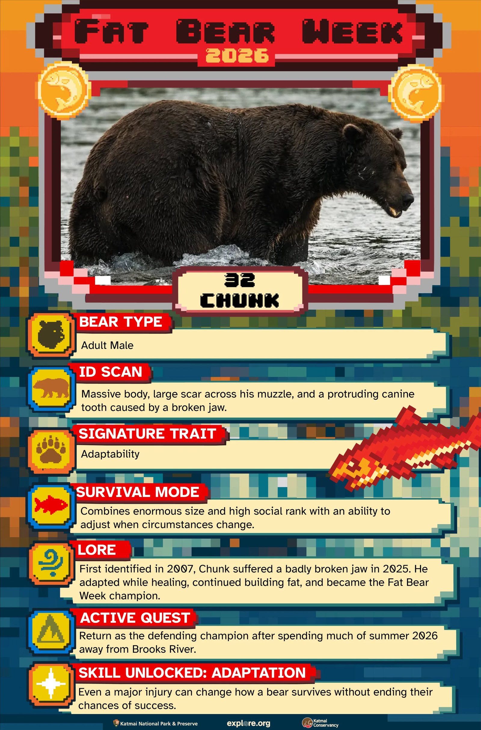 Katmai Ulusal Parkı'nda Yaşayan Ayılar Arasında Fat Bear Week Yarışının İkinci Günü Başladı