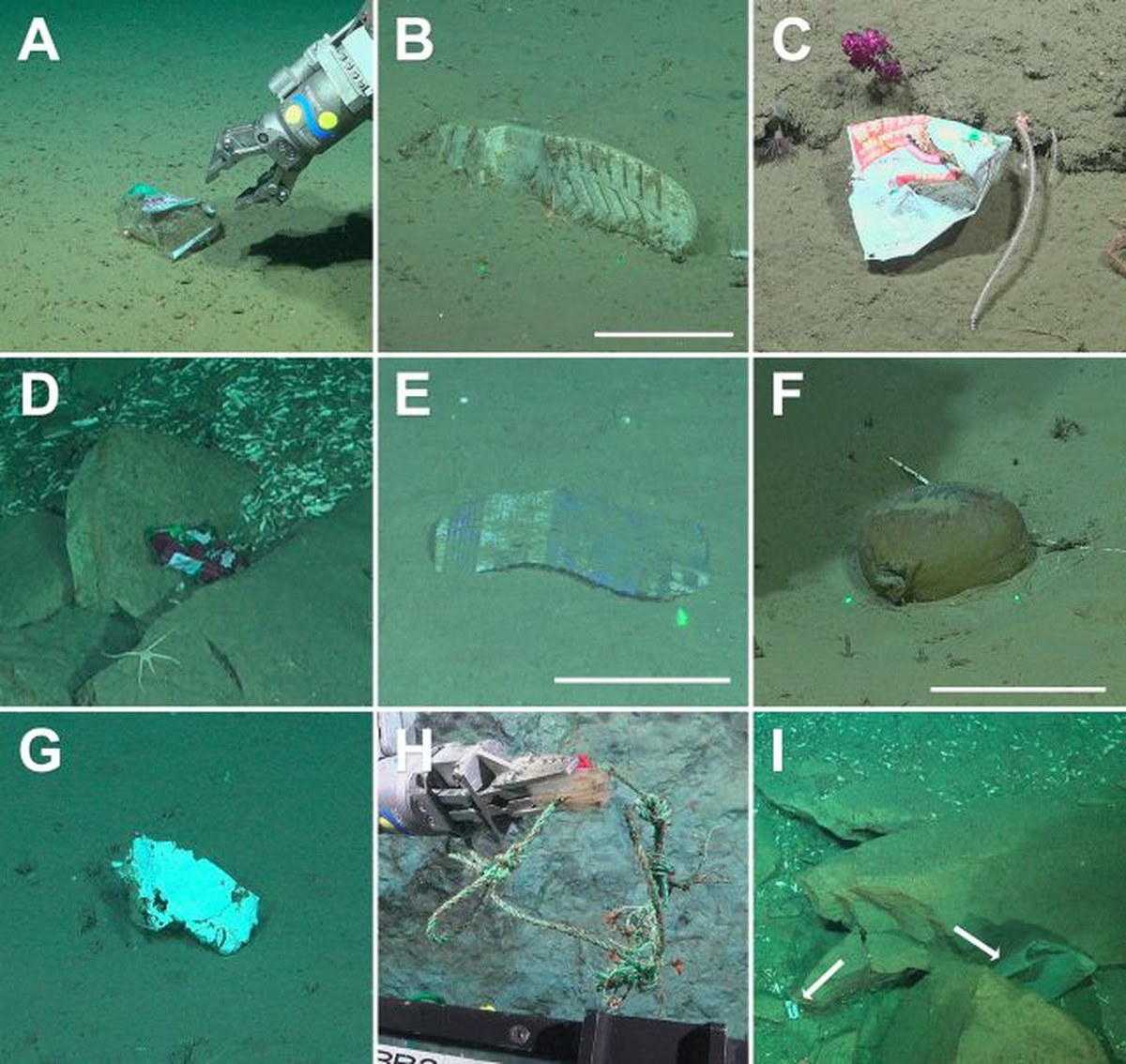 Mi Goreng Noodle Packet Found Nearly 2 Kilometers Beneath The Sea