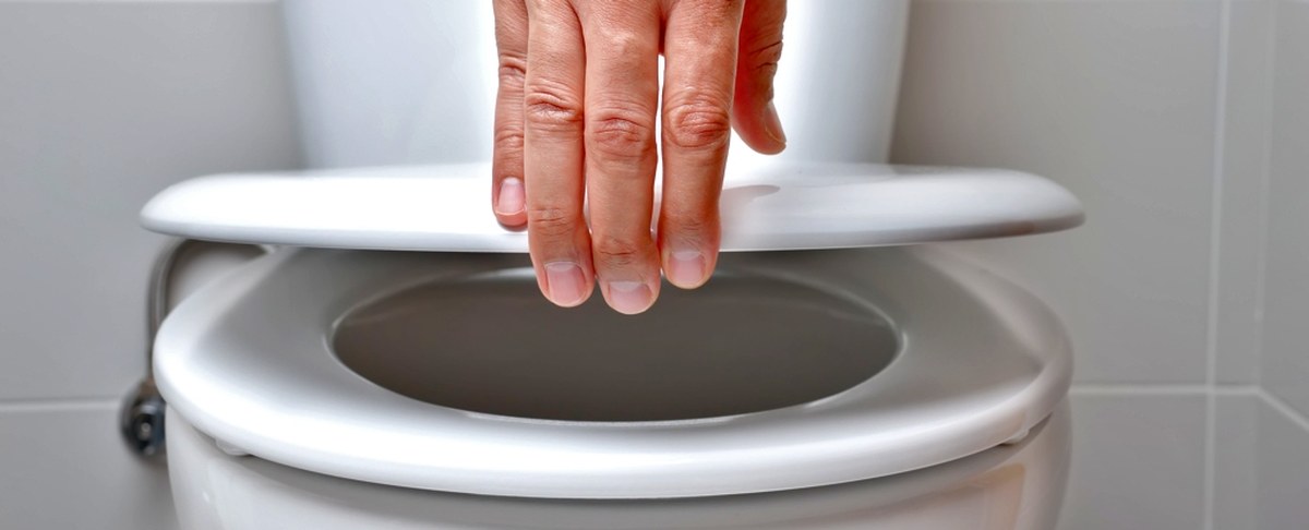 hand lifts toilet lid
