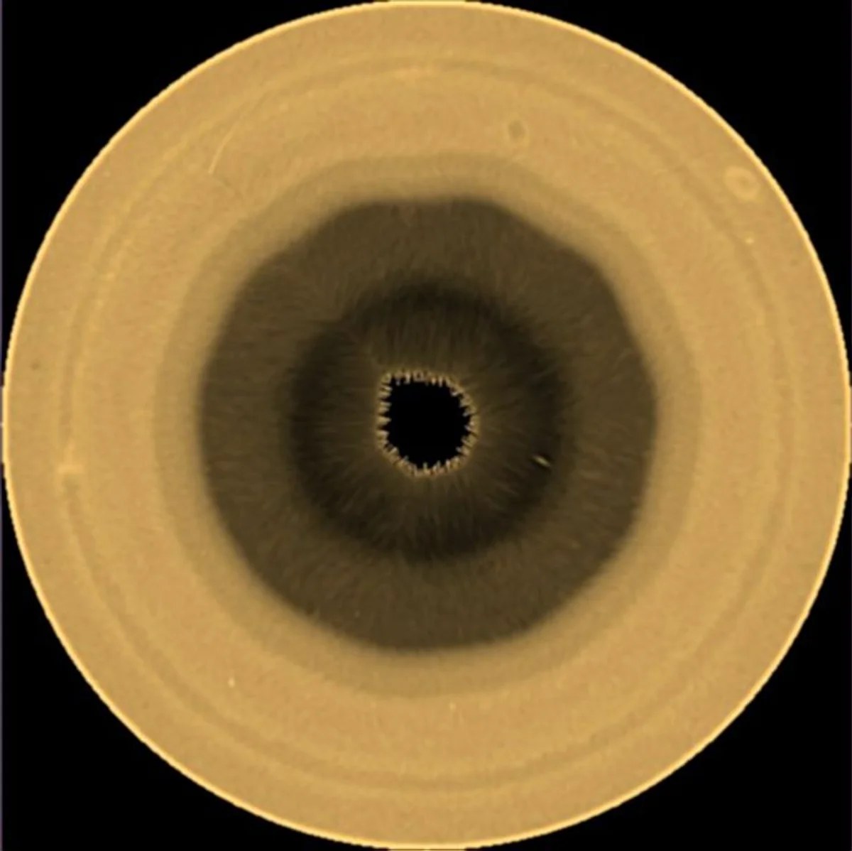 Polar projection of Saturn’s southern hemisphere at a red wavelengths at 763 nm obtained on 29 August 2025 by the Hubble Space Telescope.