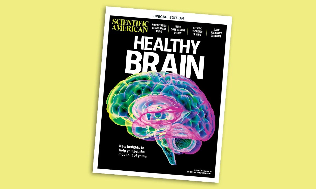 The brain, solved