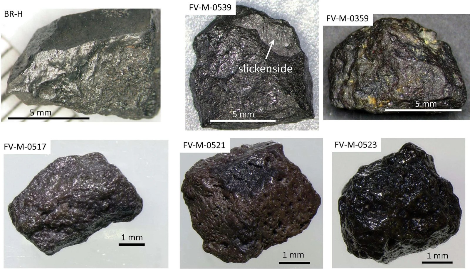 Six photographs of rough black carbonado diamonds from Brazil, with scale bars showing their size.