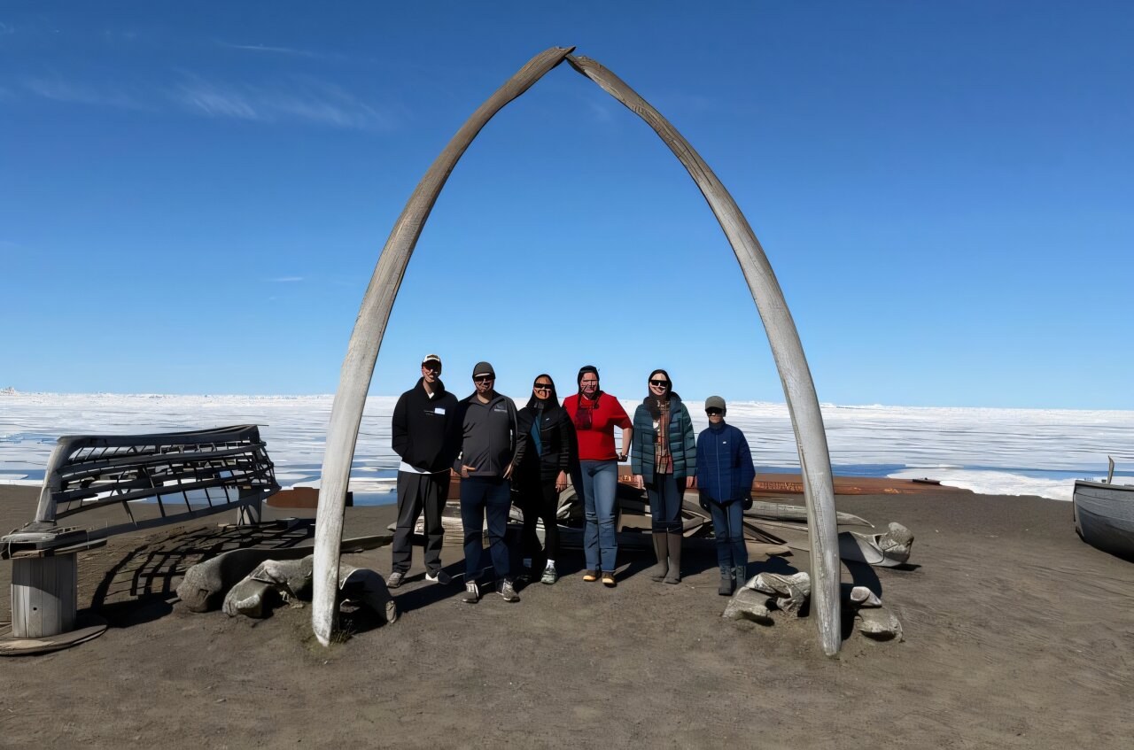 Researchers track emerging pathogens at Arctic bird gathering