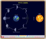 Phases of the Earth’s Moon 08 with Binyamin Geva Border Style 120 - Ashur Cherry