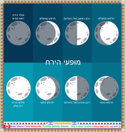 Phases of the Earth’s Moon 17 with Binyamin Geva Border Style 120 - Ashur Cherry