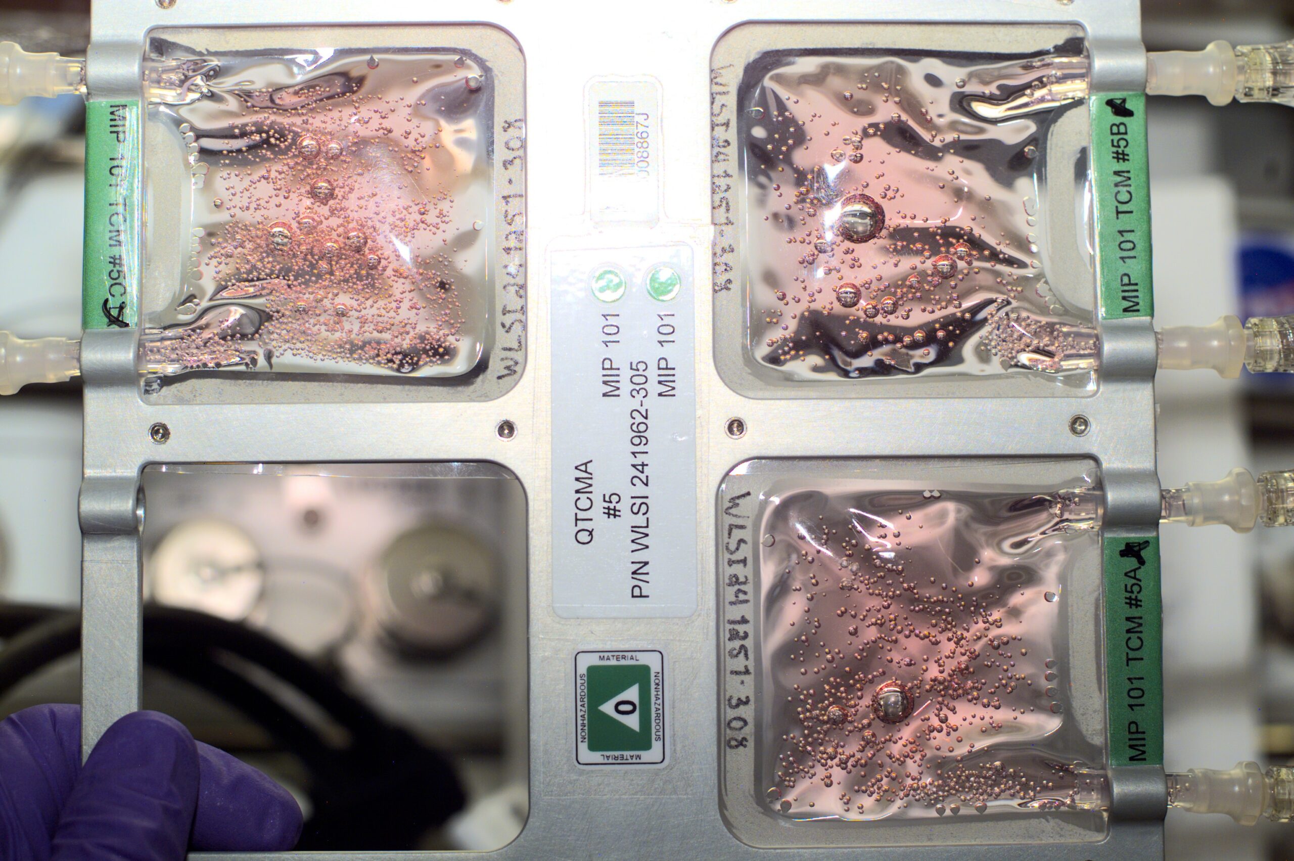The QTCMA's for the BSTC experiment in Destiny taken — 2001 Dönemi Bilim Tarihi Belgesi