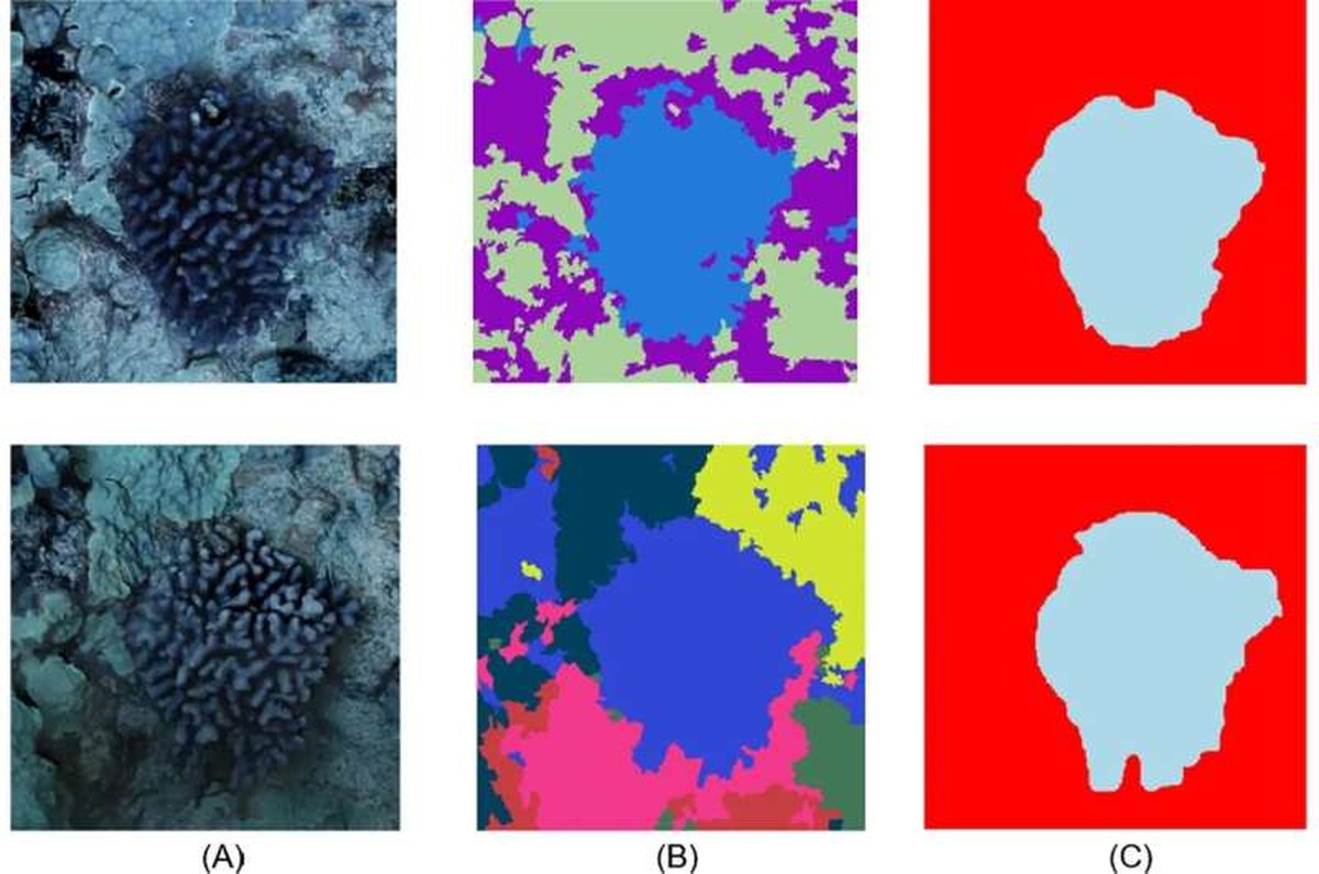 SLIC-based pseudo-label generation for underwater coral imagery. Credit: Frontiers in Marine Science (2026). DOI: 10.3389/fmars.2026.1716796 New imaging technologies offer a clearer view of coral reef change