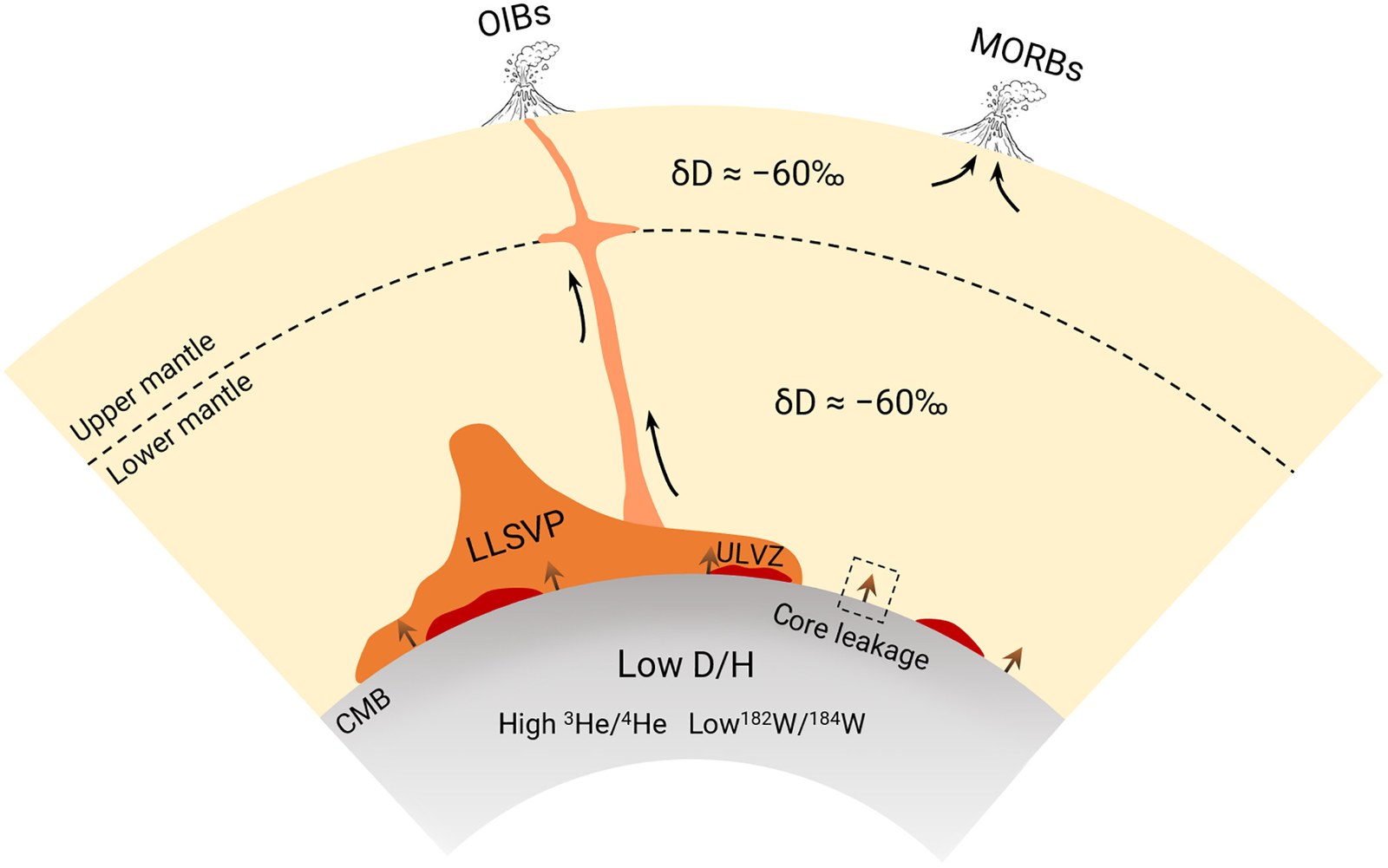 OIB'lerin yolunun ve çekirdeğin atomlu imzasının gösterildiği bir illüstrasyon. (Zhang et al., Sci. Adv., 2026)