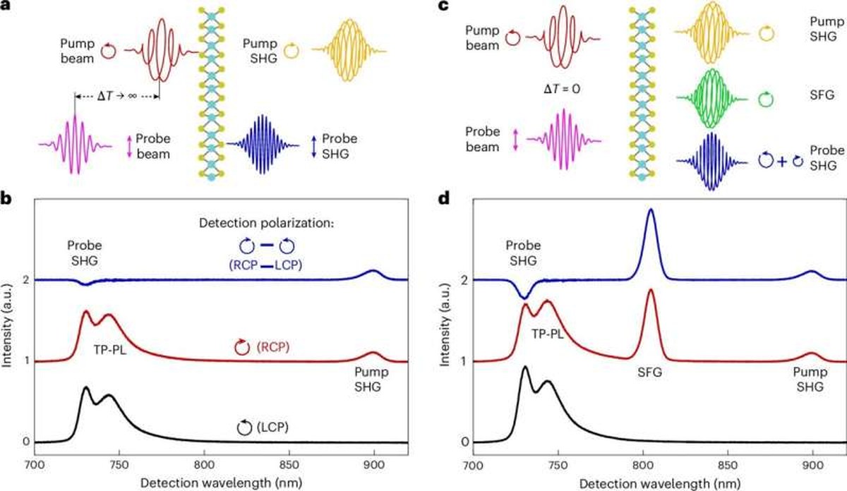 Helicity and time-resolved second-harmonic spectra. Credit: Nature Photonics (2026). DOI: 10.1038/s41566-026-02025-8 Using light to reveal hidden quantum properties