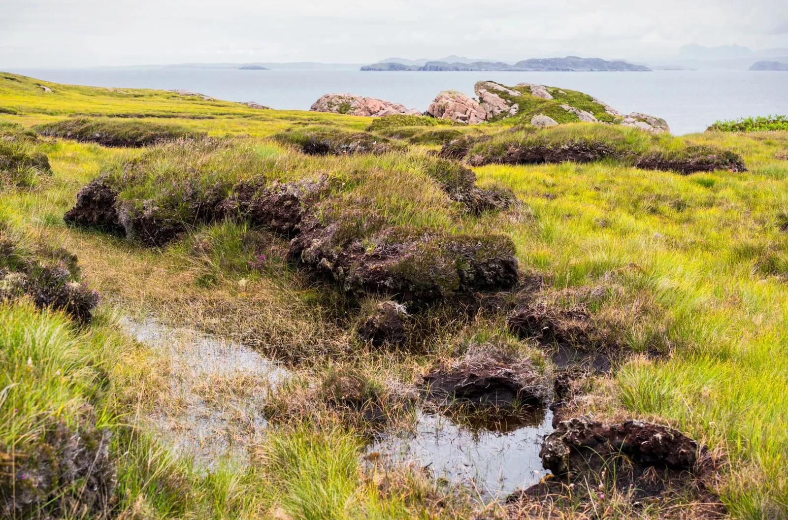 A coastal peat bog that looks like a grassy wetland near a rocky coast with islands in the distance.