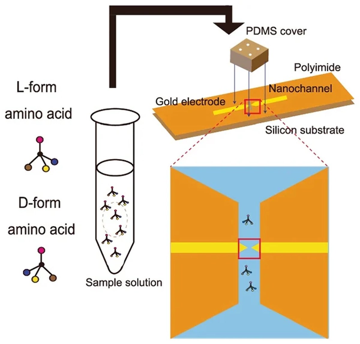 Nanogap sensor