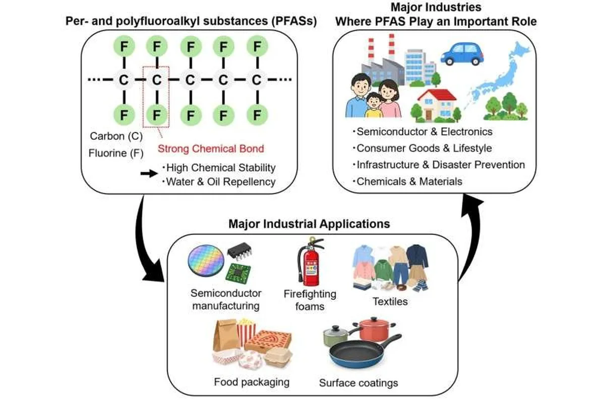 PFAS characteristics, major industrial applications and related industries. Credit: Kouki Oka et al. Designing Better Adsorbents to Remove PFAS from Water