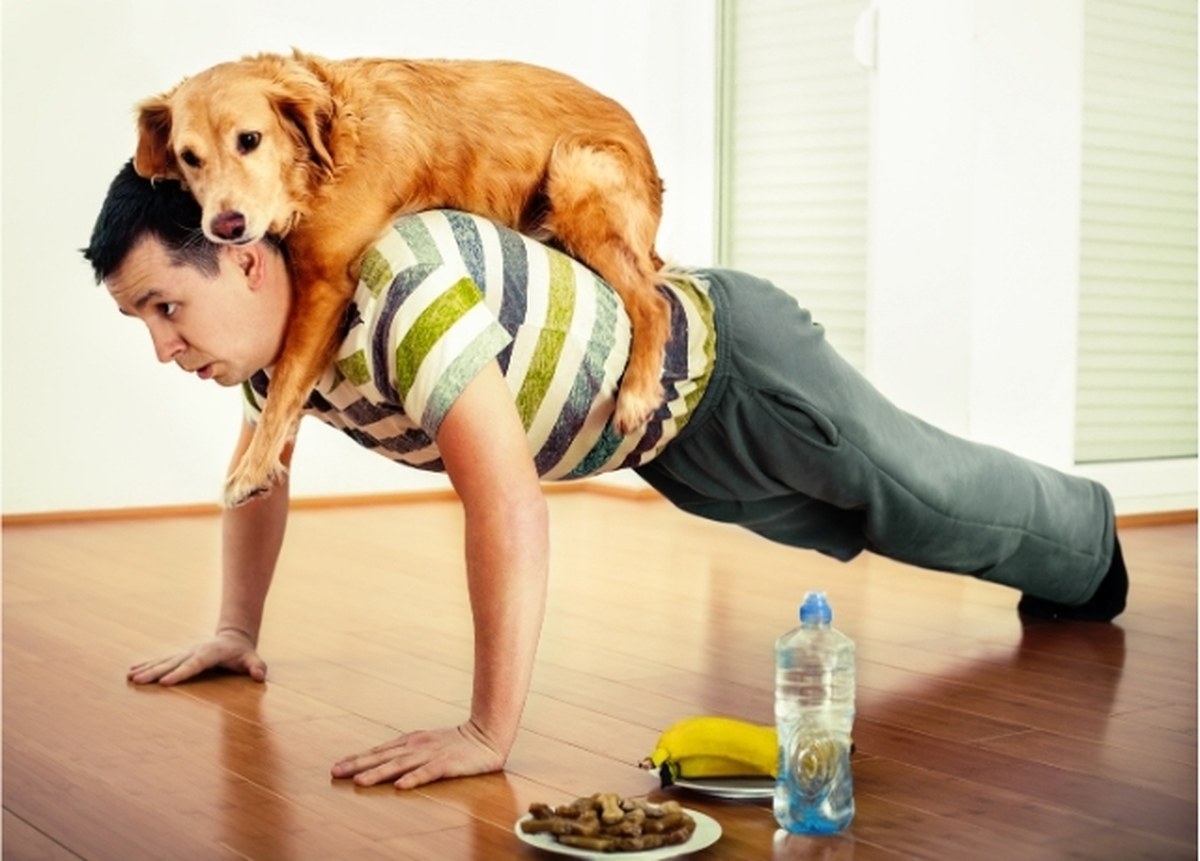 Bulgular, insanların ve köpeklerin birbirleriyle uyumlu olduğunu gösteriyor. (grki/Canva)