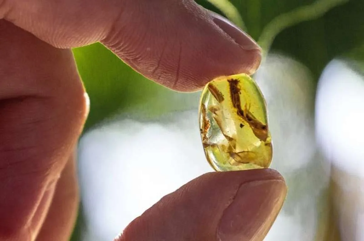 Lizard tail preserved in amber sheds light on a 100-million-year-old defense mechanism