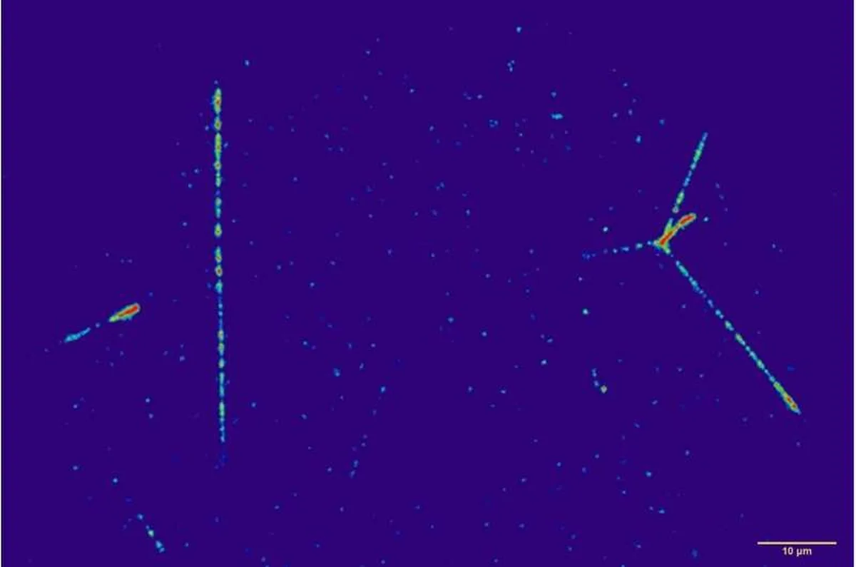 Artemis I: Crystals of experimental detectors record radiation doses near the Moon