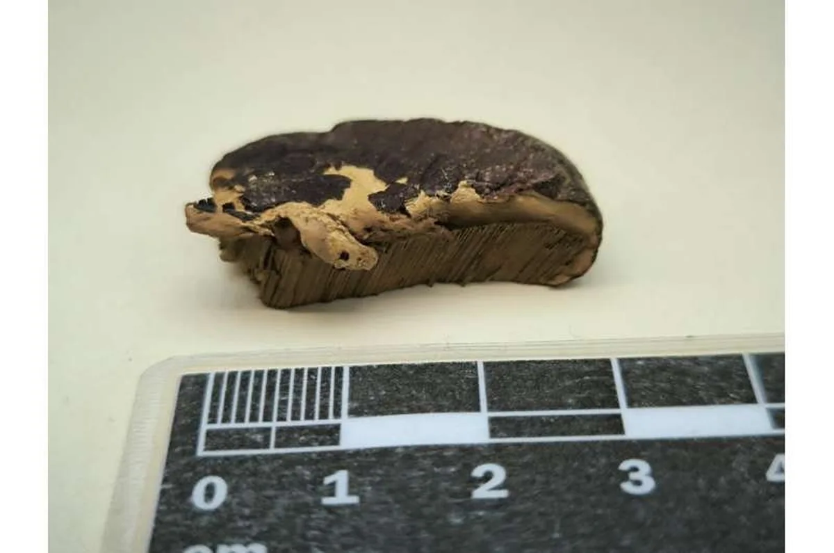 False Lingzhi unmasked: scientists crack the 245-year mystery behind a medicinal mushroom mix-up