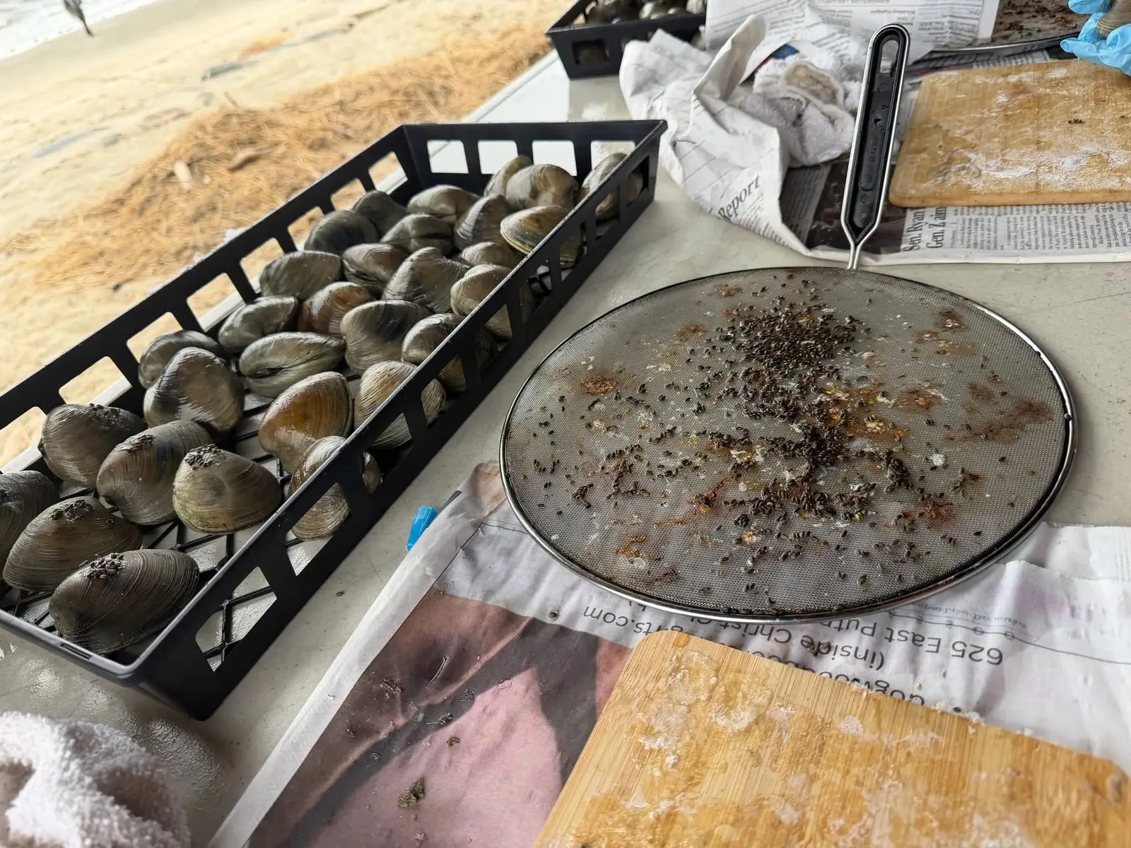 clam shells and seeds on a table