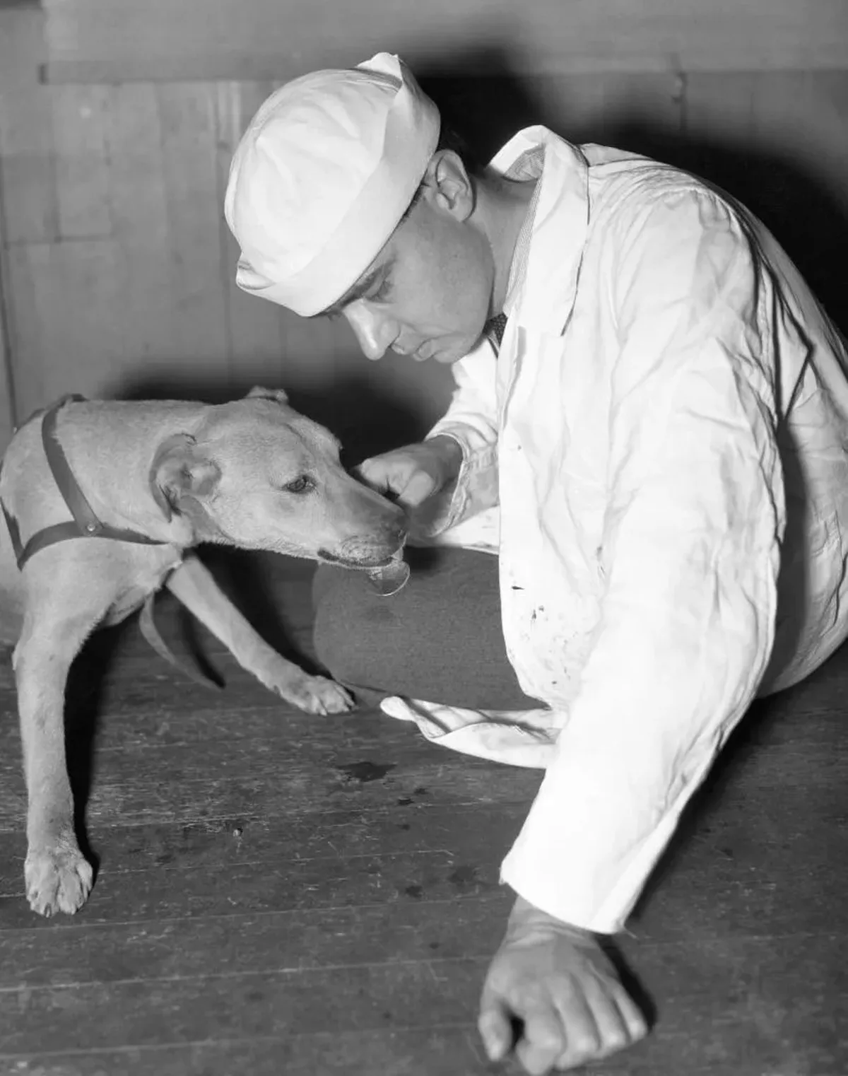 Man wearing white cap feeds dog from spoon.