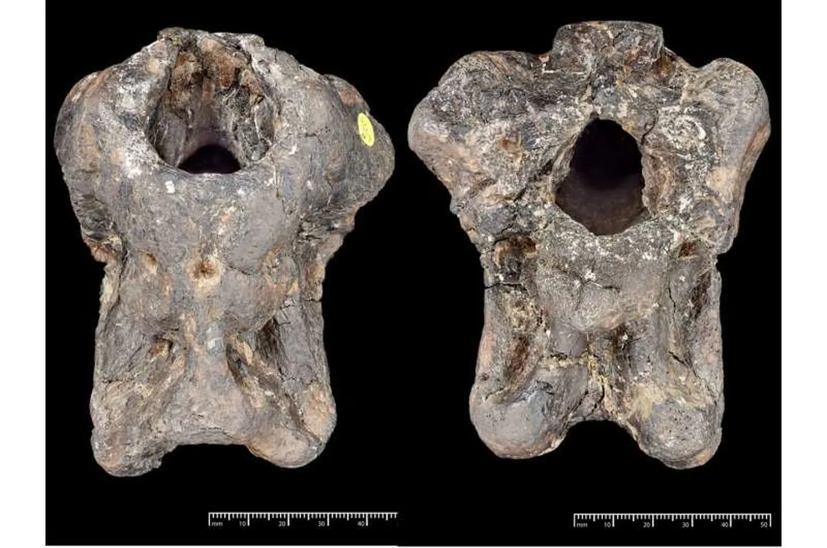 UK dinosaur fossil identified as new long-clawed predator