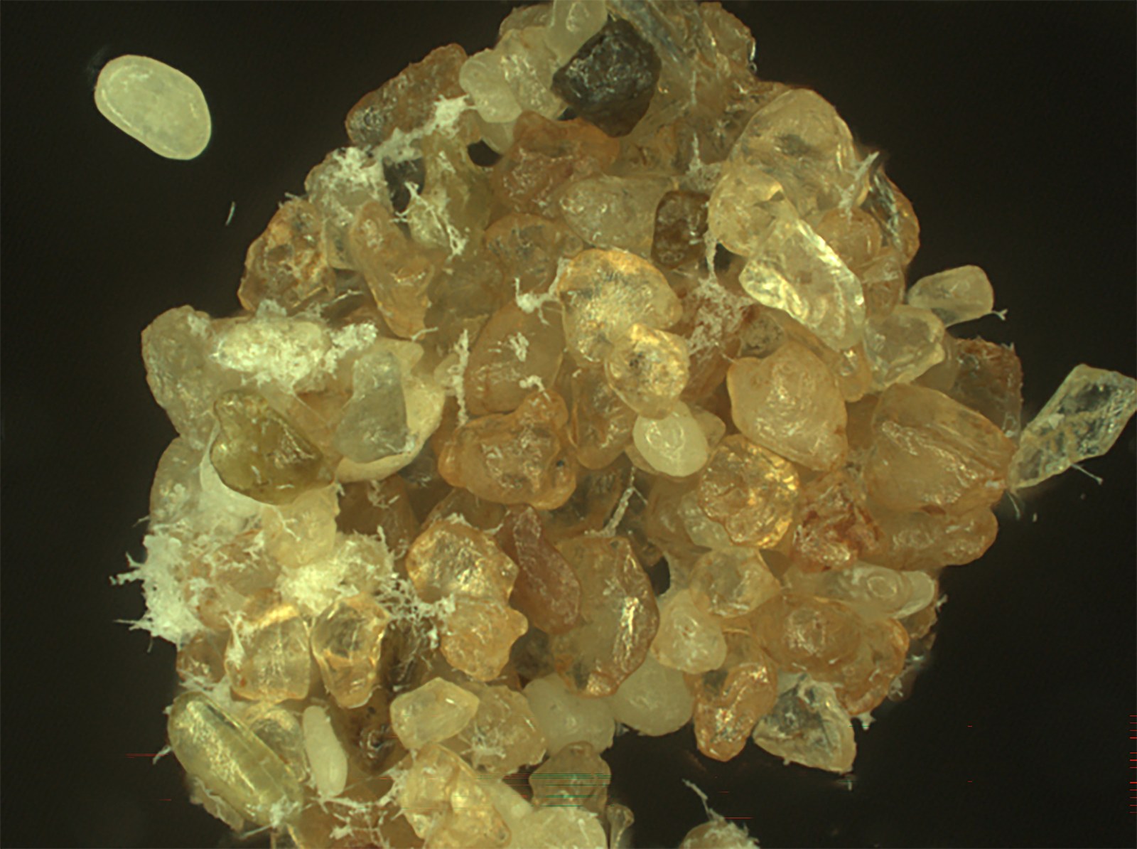 Sand grains connected by a network of fine, pale fibers.