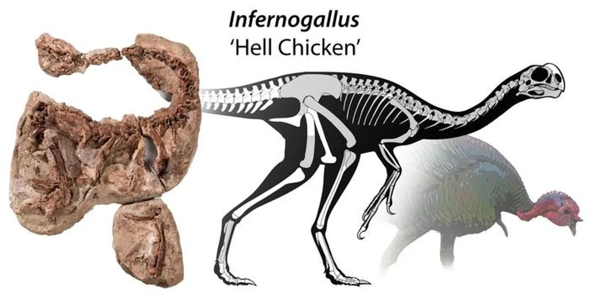 A Rare, Fruit-Eating Dinosaur Nicknamed ‘Hell Chicken’ Had a Beak Like a Parrot